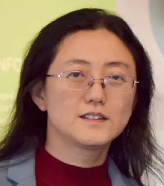 Zhang Jie